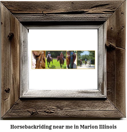 horseback riding near me in Marion, Illinois